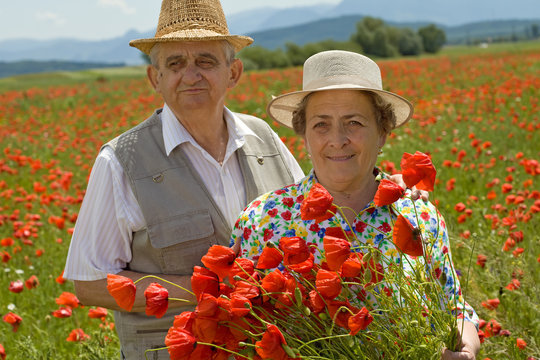 Senior Couple Picking Flowers On A Poppy Field