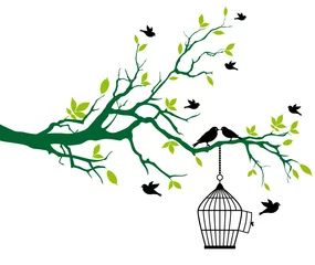 Deurstickers Vogels in kooien lenteboom met vogelkooi en kussende vogels