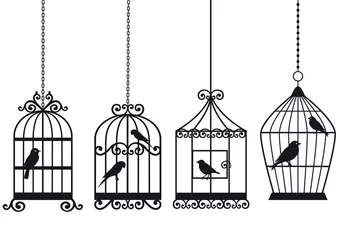 Stickers pour porte Oiseaux en cages cages à oiseaux vintage avec des oiseaux