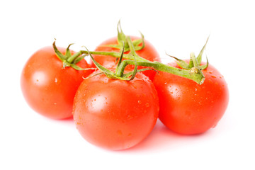 Fresh tomatoes over white