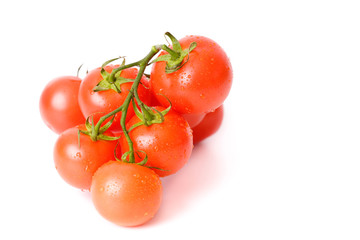 Fresh tomatoes over white