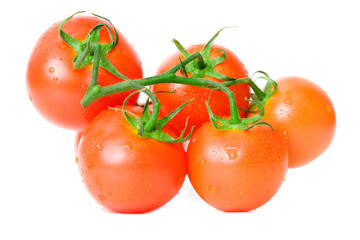 Fresh tomatoes over white