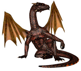 Fototapeta premium Fire dragon