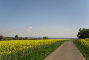 Obraz premium Deutschland Rhein-Main-Gebiet Landschaft Rappsfeld