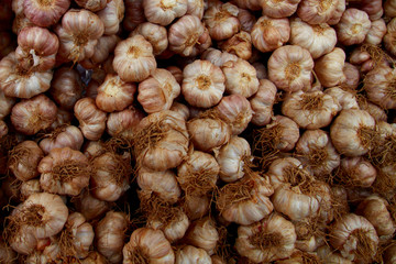 garlic texture