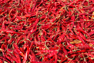 Fototapeta premium Pepper