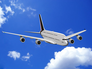 The plane in the sky