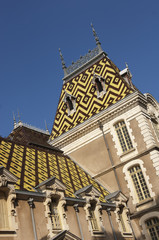 Fototapeta na wymiar Tiled Roof - Burgundy Chateau