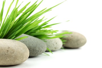 Zen stone with fresh grass
