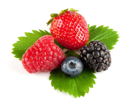 Erdbeere - Brombeere - Preiselbeere - Himbeere