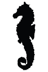 Seahorse Silhouette