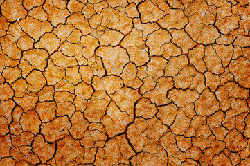 Dry cracked earth