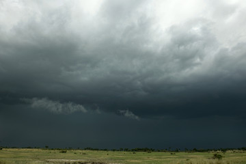 Rain cloud over Africa landscape, Serengeti National Park