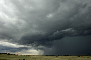 Fototapeta na wymiar Deszcz chmury nad Afryki krajobrazu, Park Narodowy Serengeti
