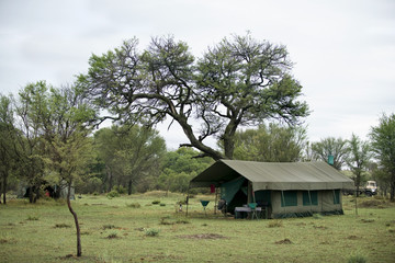 Tent in Serengeti National Park, Serengeti, Tanzania