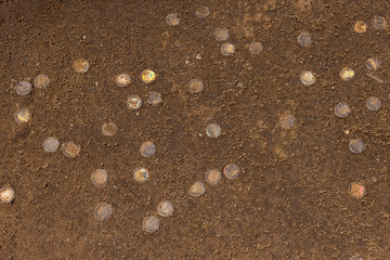 Discarded soda caps in ground, Tanzania, Africa