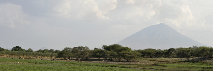 landscape with Ol Doinyo Lengai volcano in background, Tanzania,