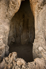 Inside baobab tree, Tanzania, Africa