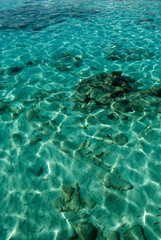 Transparent sunlit seawater texture