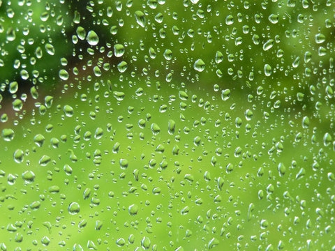 green natural grass behind waterdrops