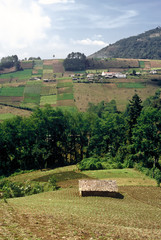 Open fields, Guatemala