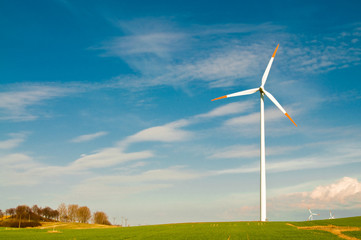 Fototapeta premium wind turbines farm