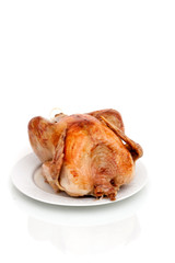 Whole turkey on white background