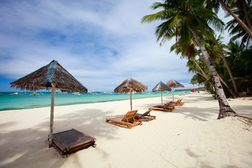 Tropical Paradise