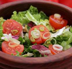 Frischer Salat