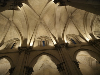 Boveda de la Catedral Vieja de Salamanca