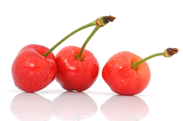 Sweet cherry