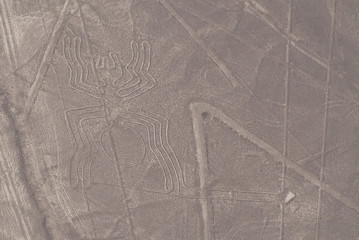 Líneas de Nazca, Araña