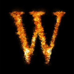 Flame in shape of letter W