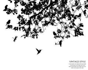 Vlies Fototapete Vögel am Baum Baum