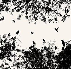 Keuken foto achterwand Vogels in boom boom