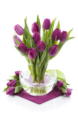 fresh tulips