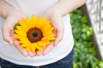 Naklejka premium Women with a sunflower