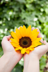 Women with a sunflower