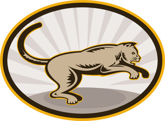 Big Cat about to jump viewed from side