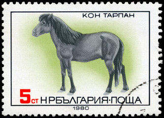 BULGARIA - CIRCA 1980 Tarpan Horse
