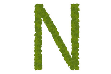 green leaves N