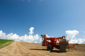 北海道・初秋d-18