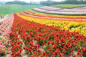 北海道・初秋d-55