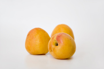 apricot