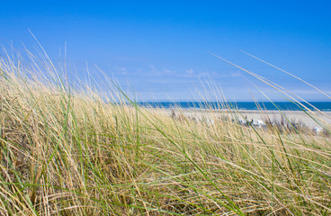 Idyllischer Tag an der Nordsee im Sommer