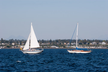 Obraz premium With and Without Sail