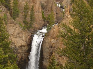 Fototapeta na wymiar Canyon et cascade dans le Yellowstone
