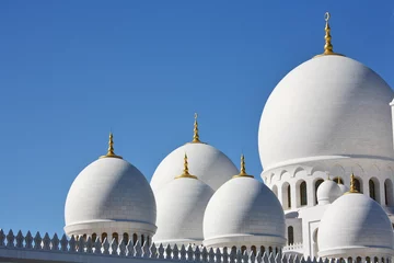 Foto op Plexiglas Sheikh Zayed Mosque in Abu Dhabi, United Arab Emirates © Vladimir Melnik
