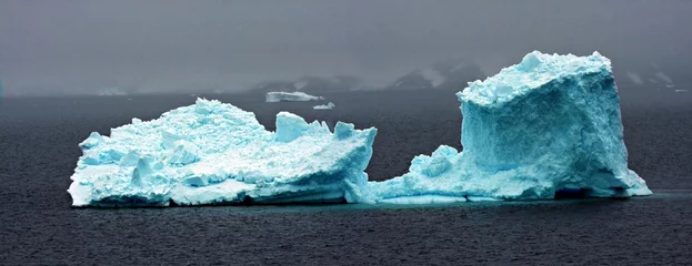 Fotobehang Iceberg © Neale Cousland