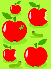 Apples and caterpillar